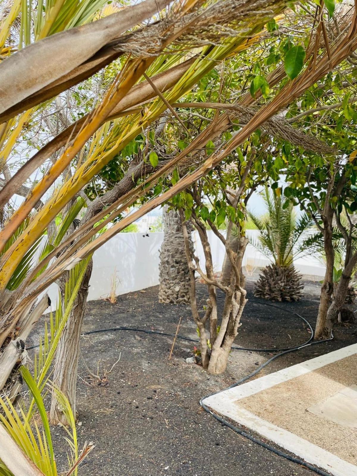 Villa Rosa Puerto del Carmen  Luaran gambar
